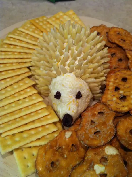 Cook Snap von kochcode-team