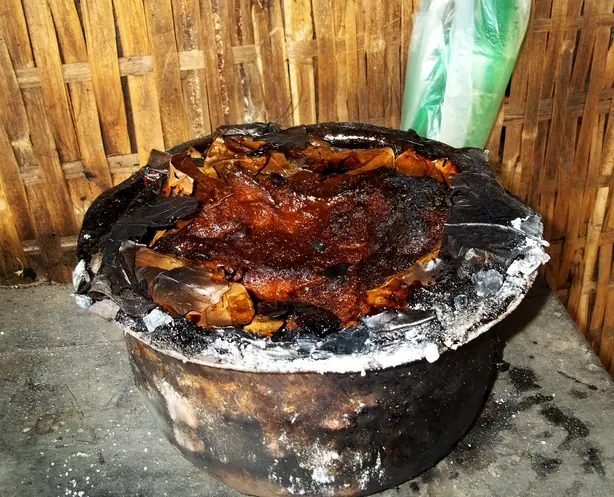 Chenapoda – Foto: Subhahish Panigahi (CC BY-SA 3.0)