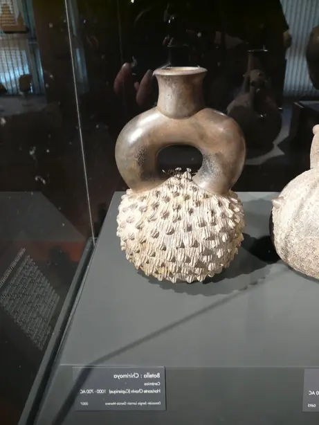 Cook Snap von kochcode-team