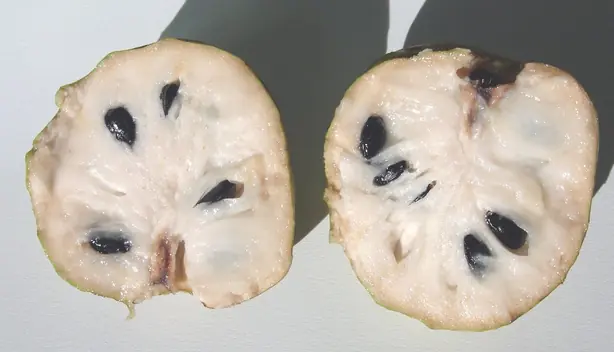 Cook Snap von kochcode-team