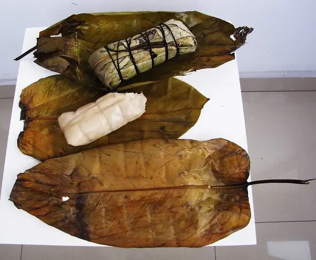 Cook Snap von kochcode-team