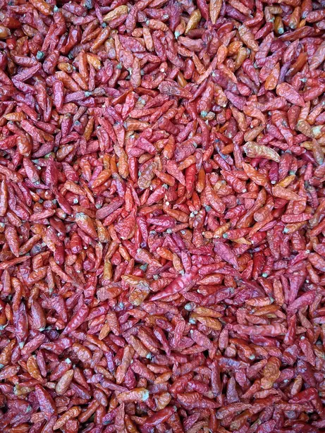 Cook Snap von kochcode-team