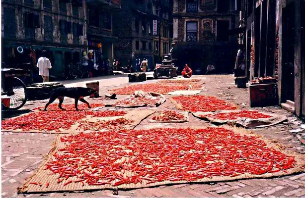 Cook Snap von kochcode-team