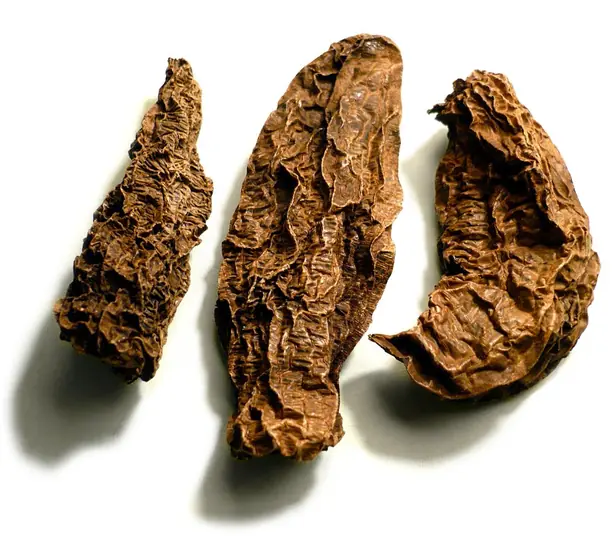 Cook Snap von kochcode-team