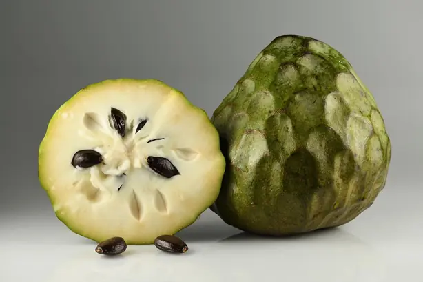 Cook Snap von kochcode-team