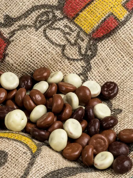 Cook Snap von kochcode-team