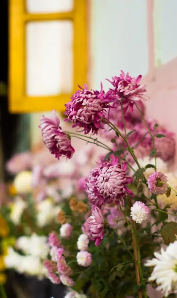 Cook Snap von kochcode-team