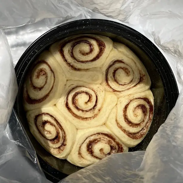 Cinnamon rolls partially baked in a solar oven – Foto: WhatamIdoing (CC BY-SA 4.0)
