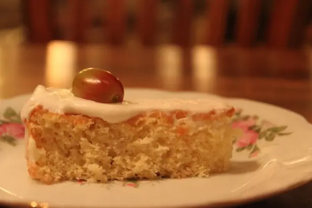 Cook Snap von kochcode-team