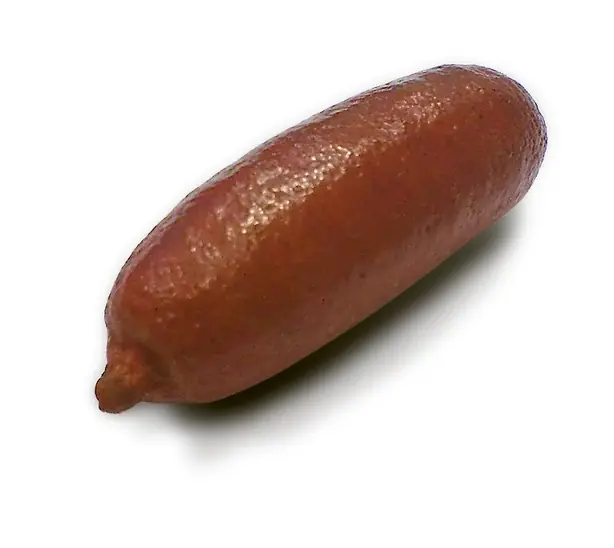 Cook Snap von kochcode-team