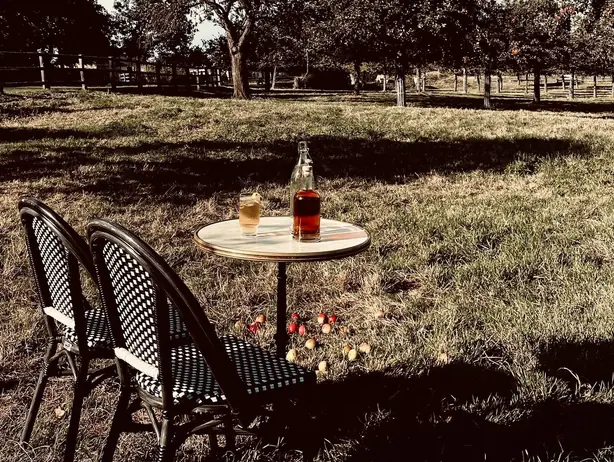 Cook Snap von kochcode-team