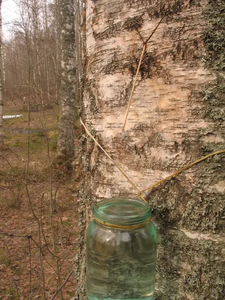 Cook Snap von kochcode-team