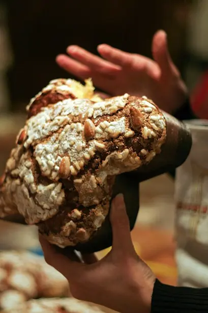 Cook Snap von kochcode-team