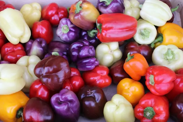 Foto von Gebratene Paprika mit Knoblauch und Olivenöl – fertig angerichtet