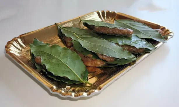 Cook Snap von kochcode-team