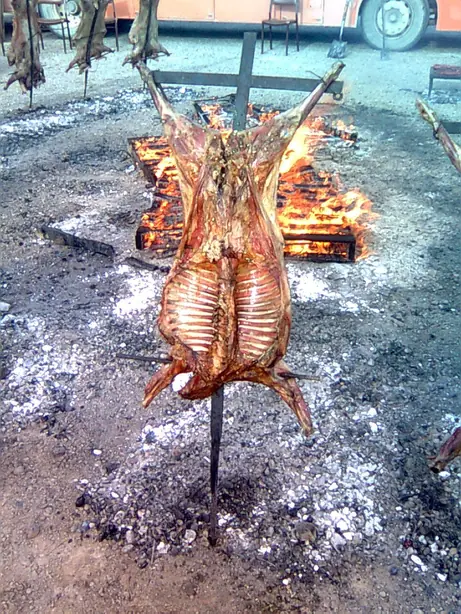 Cook Snap von kochcode-team