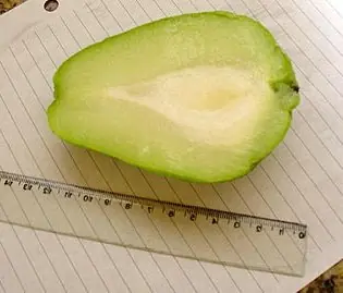 Cook Snap von kochcode-team