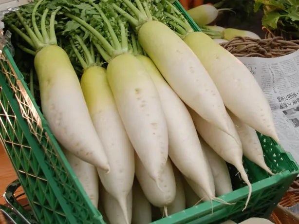 Cook Snap von kochcode-team