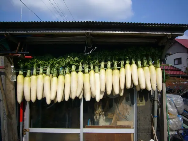 Cook Snap von kochcode-team