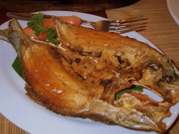 Cook Snap von kochcode-team