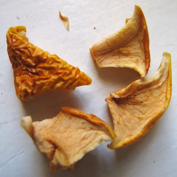 Foto von Gebratene Apfelringe – fertig angerichtet