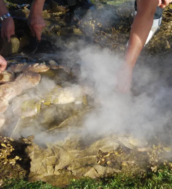 Cook Snap von kochcode-team