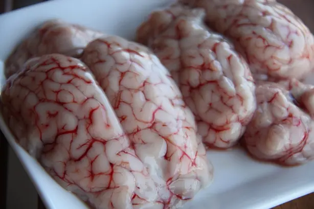 Cook Snap von kochcode-team