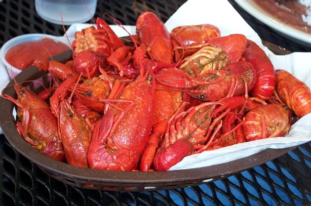 Cook Snap von kochcode-team