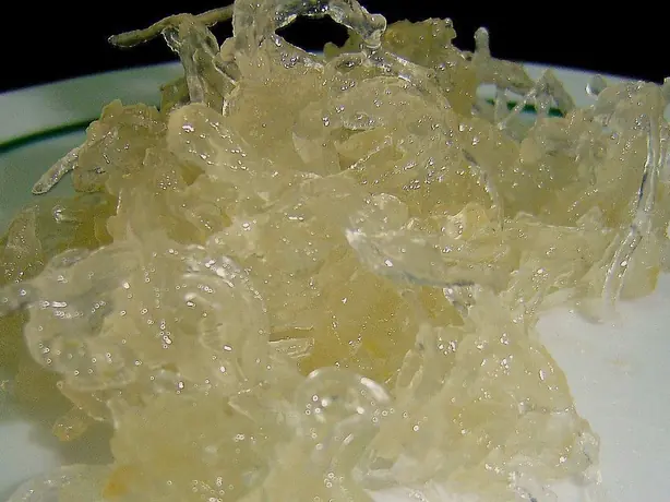 Cook Snap von kochcode-team