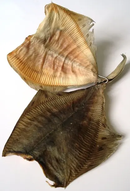 Foto von Finkenwerder Dreught Fisch klassisch – fertig angerichtet