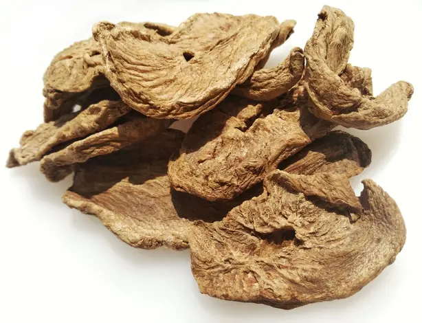 Cook Snap von kochcode-team