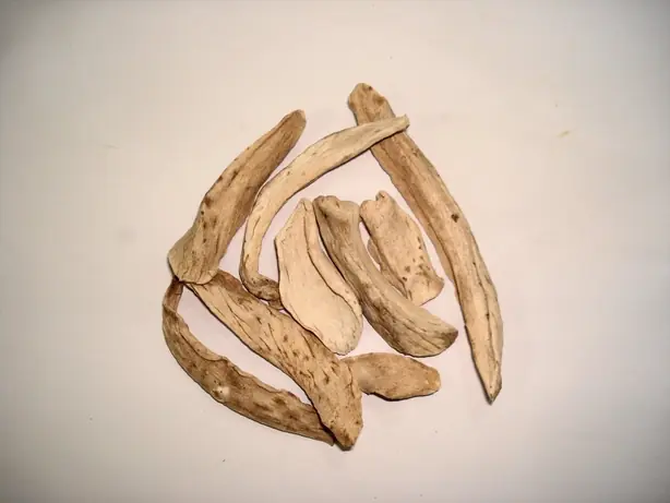 Foto von Nordindisches Chana Masala klassisch – fertig angerichtet