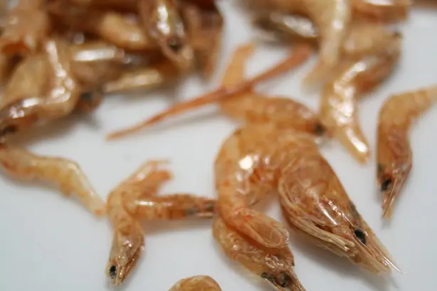 Cook Snap von kochcode-team