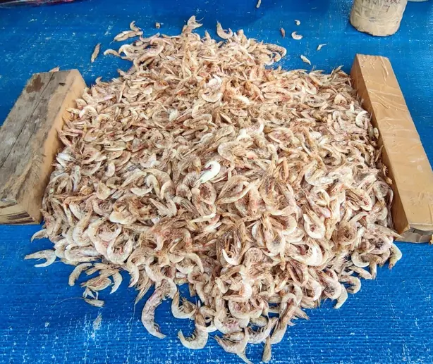 Foto von Koreanische Mareunsaeu Bokkeum Klassisch – fertig angerichtet