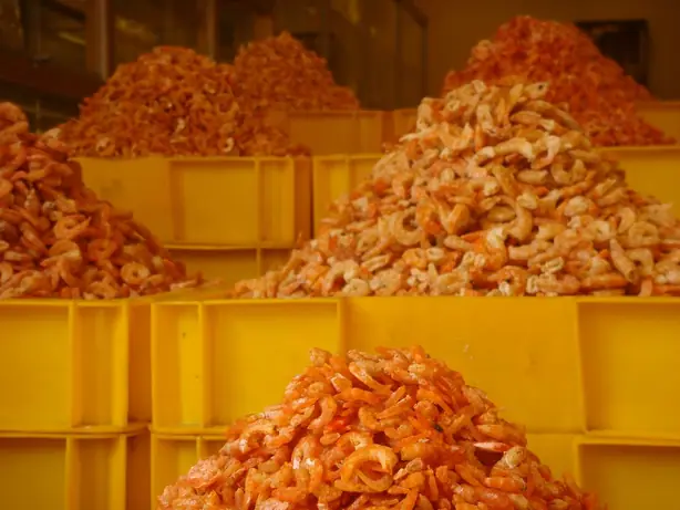 Cook Snap von kochcode-team