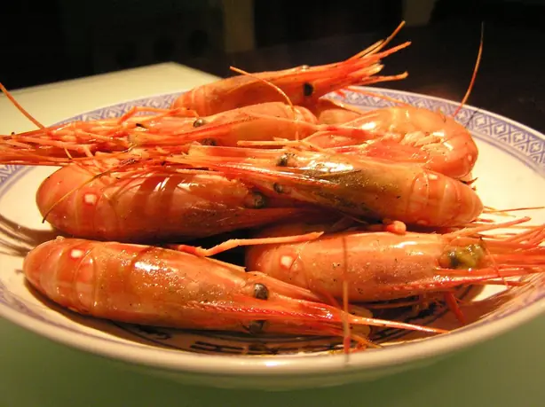 Cook Snap von kochcode-team