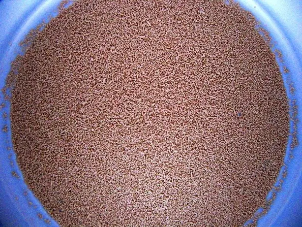 Foto von Klassischer Englischer Ingwerwein – fertig angerichtet