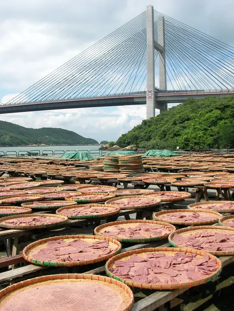 Cook Snap von kochcode-team