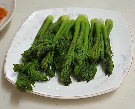 Cook Snap von kochcode-team