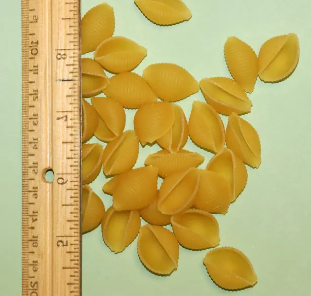 Foto von Italienische Conchiglioni mit Ricotta-Spinat – fertig angerichtet