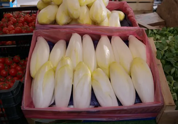 Cook Snap von kochcode-team