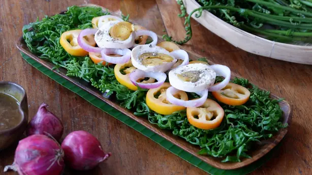 Cook Snap von kochcode-team