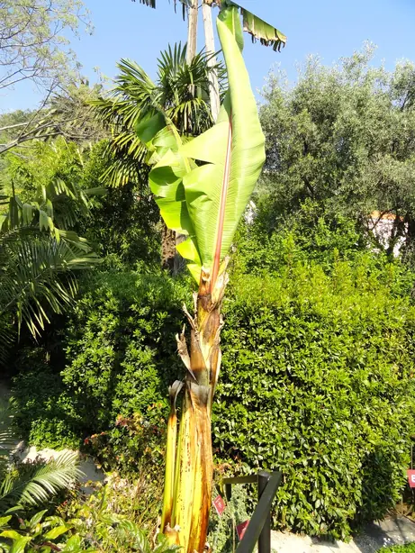 Cook Snap von kochcode-team