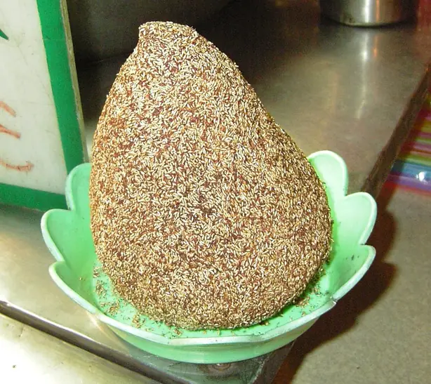 F pumila – Foto: user:takoradee (CC BY-SA 3.0)