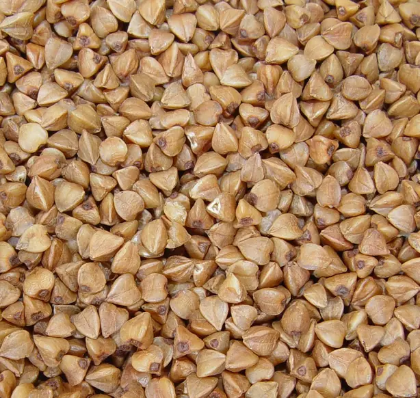 Foto von Russische Buchweizenpfanne mit Pilzen – fertig angerichtet