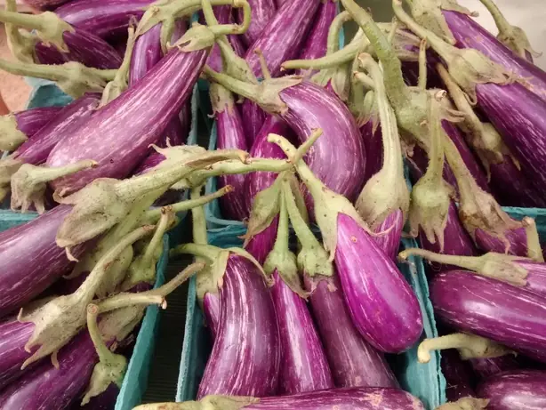 Cook Snap von kochcode-team