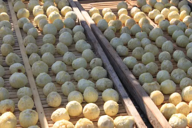 Foto von Neapolitanische Pizza Margherita – fertig angerichtet