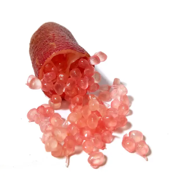 Cook Snap von kochcode-team