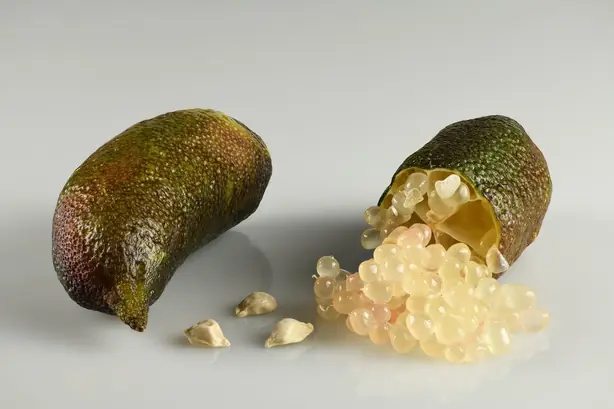 Cook Snap von kochcode-team