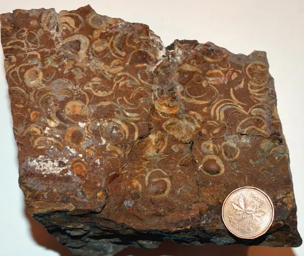 Cook Snap von kochcode-team